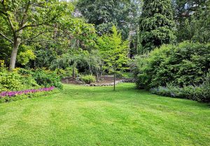 Optimiser l'expérience du jardin à La Villeneuve